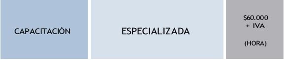 Capacitación-Especializada